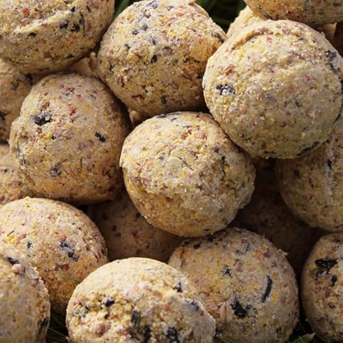 6 Count Premium Fat Balls for Wild Birds – High Energy & Protein Feed | Garden Bird Food | All-Season Fat Balls for Robins, Finches, Blackbirds | Fresh & Nutritious
