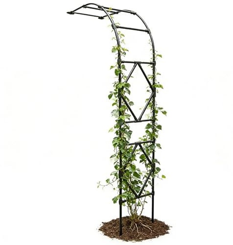 Arche De Jardin Murale en Métal Décorative, Tuteur Colonne Demi-côté pour Rosiers Grimpantes, Demi Arche De Jardin Tonnelle Arceau Support Vignes, Treillis Mural Extérieur(Noir,W90 x H240cm)