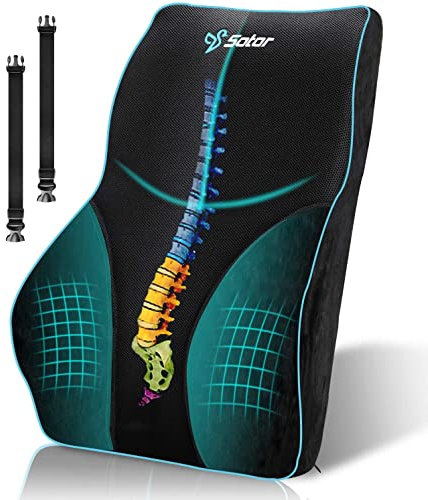 POOTACK Lumbar Support Cushion, Memory Foam Back Support Cushion Lumbar Support for Office Chair, Car Seat, Recliner, with Extension Strap and Mesh Cover, Christmas Early