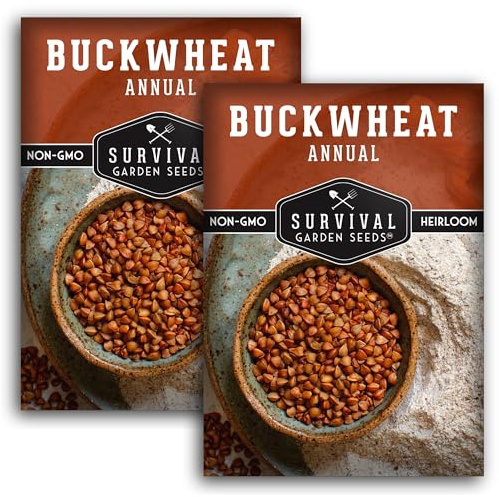 Survival Garden Seeds Buckwheat Seed for Planting - 2 Packets with Instructions to Plant & Grow a Cover Crop & Buckwheat Grain Plants in Your Home Vegetable Garden - Non-GMO Heirloom Variety