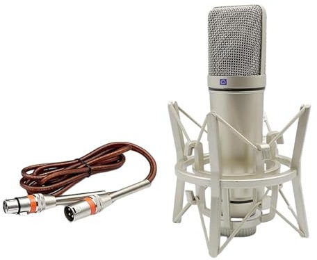 JISADER Microphone à condensateur, réduction du Bruit à Grand diaphragme, Micro de Studio Multifonctionnel, USB pour la Production de Musique de Jeu, avec câble XLR