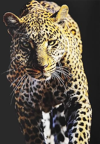 KUSTOM ART Poster Decorativo da Parete Serie Animali Leopardo Stampa Artistica su Carta Patinata 42x30 cm Senza Cornice