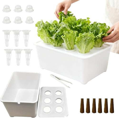 Indoor Planting Boxes, Complete Gardening Set for Outdoor, Hydroponics with Seedling Kit, Hydroponic Accessories for Lettuce, Flowers, Balcony, Backyards, Hotels, Apartment, and Parterre, 7.09 Inches
