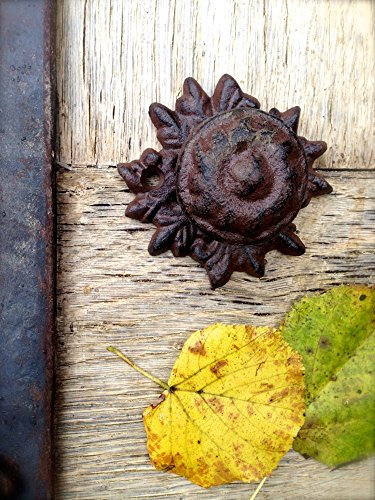 Antikas - Bouton de Porte en Fonte Stable Avec Manche en Érable pour Jardin