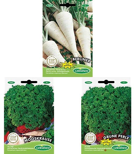 Germisem Mooskrause Graines de Persil+Persil frisé résistant au froid GRUNE PERLE+Berliner Graines de Racine de Persil