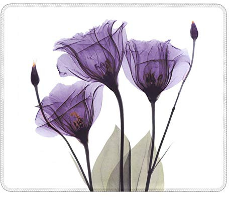 ReesEt Fleurs à Rayons X du Trio de gentianes Violettes, Tapis de Souris, Tapis de Souris à Base de Caoutchouc antidérapant, Tapis de Souris imperméable 25 X 30 cm
