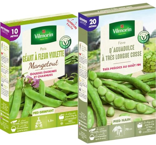 Vilmorin Pois géant Fleur Violette Boite série 10m mangetout, Vert & Fève d Aguadulce a très Longue cosse Boite série 20m, Vert