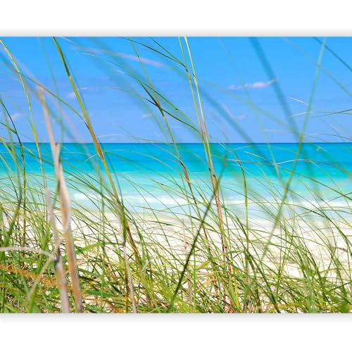murando Fotomurales autoadhesivo 196x154 cm Papel Pintado Decoración | Pared Murales Pegatina decorativos adhesivos 3d moderna de Diseño Fotográfico
