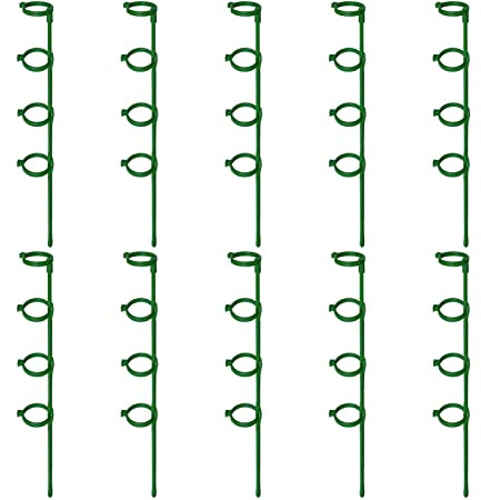 Lot de 10 piquets de support de jardin - 60 cm - Pour tomates, orchidées, lys, pivoines, roses