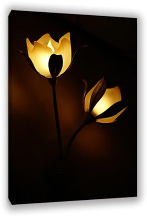 RXNHGJDS Abstrakte bilder Leinwand,GlüHbirnen auf Leinwand,Lampe Blumen Leuchten Bild Schwarz,Bilder auf Leinwand,Wall Pictures for Living Room80x120cm(31x47in) Innenrahmen