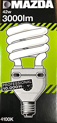 DSTOCK60 LAMPADA FLUOCOMPACT 42W E27 3000lm 4100K