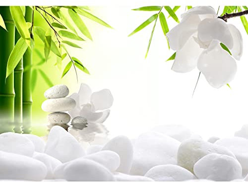 Runa Art Papel tapiz fotográfico 396 x 280 cm Flor de Feng Shui | Lana Decoración De Pared Sala Cuarto | Fabricación alemana | Verde blanco 9300012a