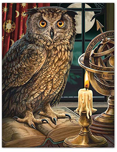 DIY en bois puzzle geant bois adulte 1000 pieces La chouette astrologue Image de décor de chambre cadeaux de Noël