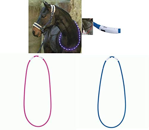 LED-Leuchthalsring für Pferde