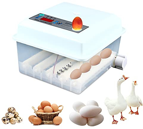 Brutautomat Vollautomatisch, Inkubator für Hühnereier, Inkubatoren für Bruteier, Eierbrüter mit automatischem Eierwender, mit LED Temperaturanzeige für Zucht von Hühnern, Enten, Gans(16 Eier)