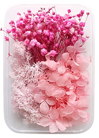 Fyearfly Set di fiori secchi per artigianato fai da te, ortensia rosa del muschio del bambino, forniture floreali conservate naturali per candele in resina, decorazioni per la casa
