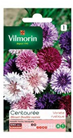 Vilmorin - Sachet graines Centaurée bleuet double variée vilmorin