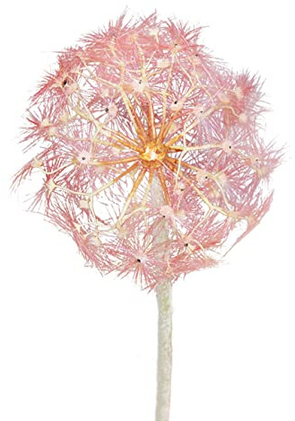 MISNODE Flor de diente de león artificial de 36.2 pulgadas, 2 piezas de flores gigantes de imitación de hojaldre de diente de león falso con tallo para decoración del hogar, oficina, color rosa
