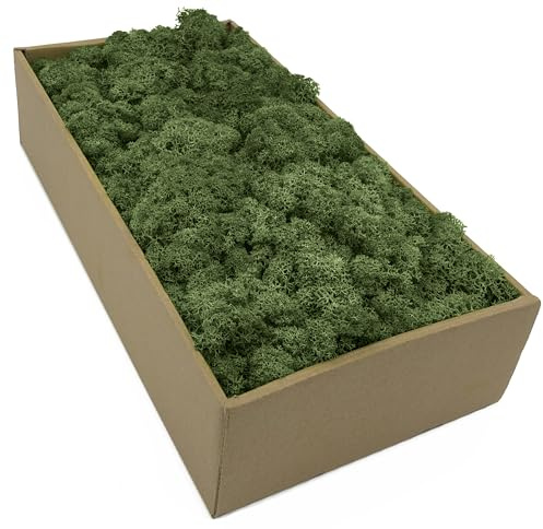 Islandmossa – mossa i 5 olika Färger 250 g/m/500 gr/1 kg äkta konserverad naturmossa för mossbild pyssla dekoration och modellbygge (mossgrön, 100 gr)