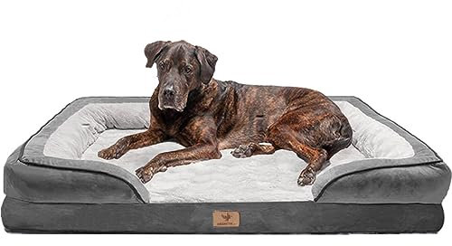 Traumreiter orthopädisches Hundebett für mittelgroße Hunde L Grau I Hundekörbchen Hundekorb Hundekissen Hundehöhle Hundesofa Bettchen Hundebetten für mittlere Hunde 90x60 cm