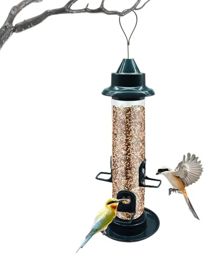 Distributeur de Nourriture pour Oiseaux Sauvages – Station d'extérieur pour Hirondelles et moineaux, mangeoire de Jardin pour Les Amoureux des Animaux, et Femme, Station d'alimentation