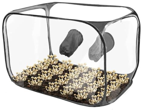 Homeponnew Still Air Box - Caja de aire para cultivo de setas, cámara de fructificación plegable para micología con guantes y cremalleras, tienda de campaña estéril de PVC transparente (35.5 x 23.5 x