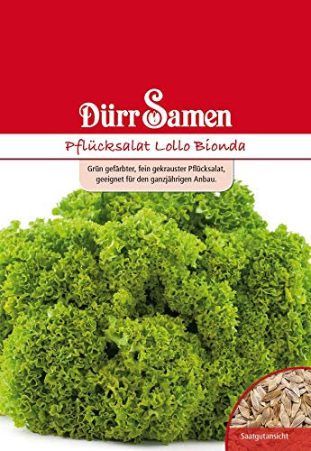 Dürr Samen 4127 Pflücksalat Lollo Bionda (Pflücksalatsamen)
