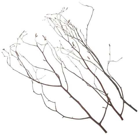 FUNOMOCYA 20 Tiges Décoratives pour Vases en Bouleau 19.69 Pouces Branches Séchées pour Bouquets Compositions Décoration Intérieure Loisirs Créatifs Et Mariage