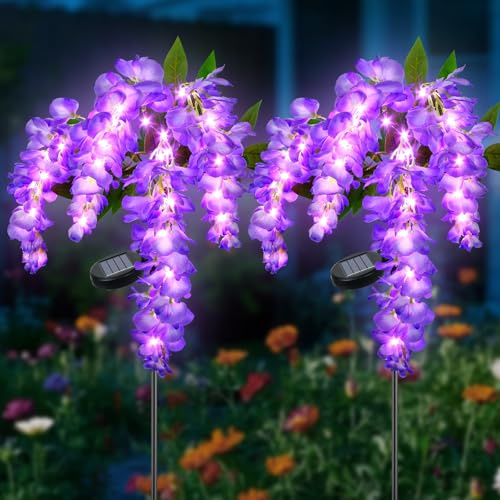 Ninonly Luces Solares Exterior Jardin, 2 Piezas Glicina Luz Solar Exterior con LED Violeta, 2 Modos Lámpara Iluminacion Impermeable, Decoración para Jardin Patio Senderos Navidad