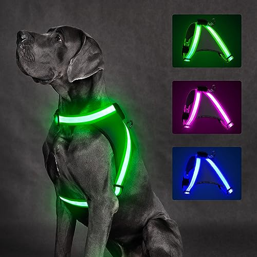 ChalkLit LED Leuchtendes Hundegeschirr USB Wiederaufladbares Vollständig Beleuchtetes Hundegeschirr Leuchtet Im Dunkeln für Nachtspaziergänge Sicherheitsweste, mittelgroße große Hunde(Grün, M)