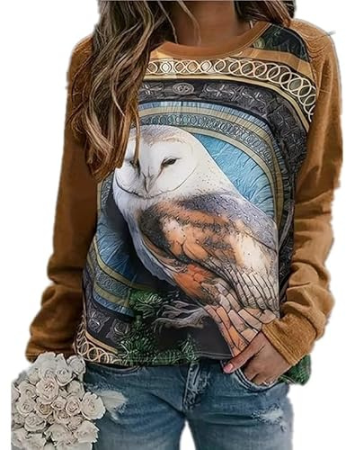 Women's Round Neck Long Sleeve Top 3D Owl Graphic Pullover Sweatshirt Animal Owl Print Jumper Casual Loose Tops