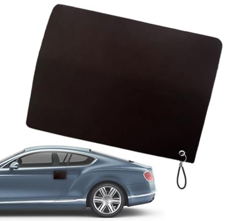 Lpsdssre Cubierta de protección contra nieve para manija de puerta de vehículo, protector magnético de protección contra hielo para manija de puerta de coche, protector de protección contra heladas