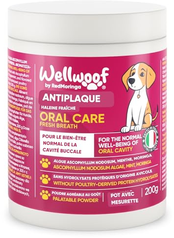 Integratore per Pulizia Denti Cane | Integratore in Polvere per Rimozione Tartaro Cane | con Alghe Ascophyllum nodosum (75%), Moringa e Menta Piperita | Senza Additivi Artificiali | 200 gr - WELLWOOF
