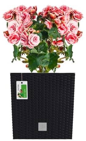 PAFEN Blumentopf RATTO Rattan-Optik Low Kunststoff Topf Blumenkübel inkl. Einsatz Übertopf anthrazit 26,5x26,5cm