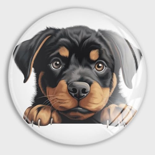 Evans1nism Rottweiler Kühlschrankmagnete aus Glas, starke Magnete, Tiere, runde Magnete, Hundebesitzer, Geschenk, bunt, Garagenmagnet für Kühlschrank, Briefkasten, Auto, Metalldekoration, 2 Stück