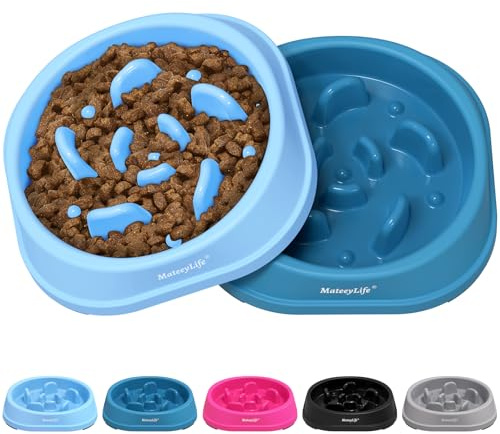 Mateeylife Comedero para Perros, Comedero Perro Antivoracidad para Gatti e Cagnolini, Slow Feeder Anti Ingozzamento, Pequeño Set da 2 Pezzi