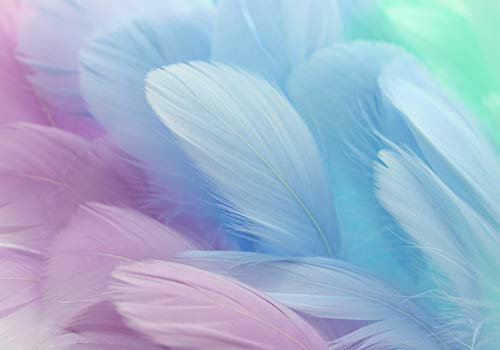 wandmotiv24 Fototapete Federn pastell blau violett, XXL 400 x 280 cm - 8 Teile, Wanddeko, Wandbild, Wandtapete, bunte Feder grün lila M6636