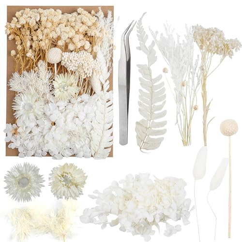 JOFONY Trockenblumen,Getrocknete Blumen,Trockenblumen Set für DIY Scrapbook Zubehör Blumengestecke Blumendekoration Hochzeitsdekoration(Weiß)
