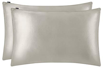 25 Momme Seidenkissenbezug [1 Stück] Hypoallergen, Anti-Haarausfall, Hausstaubmilbenresistent, nische Maulbeerseide, Grau Silber, 40 x 60 cm - Haarschutz & luxuriöser Schlaf