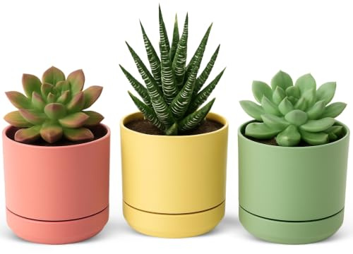 TECHZOCO Macetas para Cactus de plástico, Mini Maceteros Pequeños para platas, Macetas Decorativas, No Incluyen Las platas, Incluye Plato Integrado, 15.5 cm diámetro x 18 cm Alto, Pack 3 Unidades