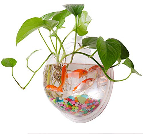 Wifehelper Acrylic Wall Hanging Fish Bowl Decorative Container, Modern Wall Mounted Fish Bowl, Assorted Color