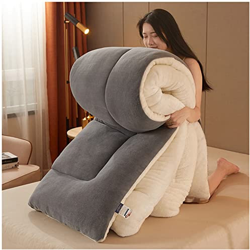 ZTGL Steppdecke, Flauschige Kaschmir Steppdecken für Allergiker Duvet, Verdicken Sie Lamm Kaschmir Decke Winter Weiche Warme Bettdecke Bettwäsche, Doppelseitiges Design,Grau,200 * 230cm (3.5kg)