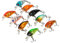 Mini Elritze Angelköder Set, Wobbler Forelle Kurbel Köder, 9 Stück/Beutel 4,5 cm/4 g Kunststoff Angelköder Haken Bass Small Fat Crankbait Angelausrüstung mit Dreifachhaken für Salzwasser Süßwasser