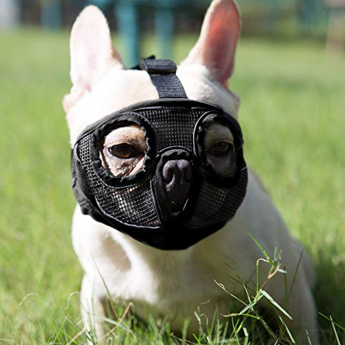 JYHY Maulkorb für Hunde mit abgeflachter SchnauzeFranzösische Bulldogge Maulkorb -verstellbar, atmungsaktiv: Französische Bulldogge, Pekingese, Shih-Tzu, Mops (Schwarz, Medium (28-43 cm))