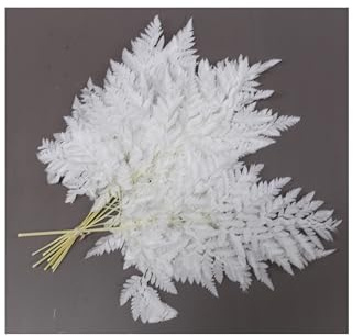 Pandecor Mazzo x 10 Foglie Felce Cuoio Leather Fern Stabilizzate Colore Bianco 40/50cm