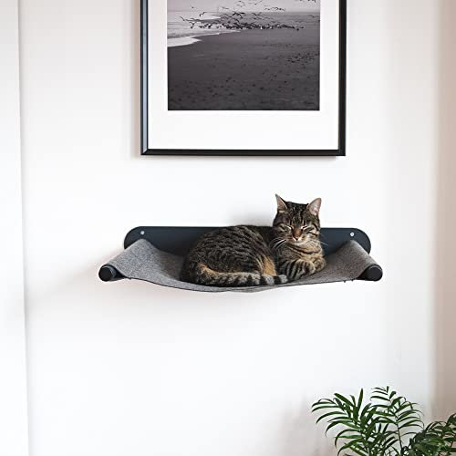 LucyBalu® Katzenhängematte mit natürlichem Filz | Hängematte für Katzen als Katzenbett an der Wand I Katzenliege für Wand mit Metallgestell | Wandliegeplatz Katze | Made in Germany I Anthrazit