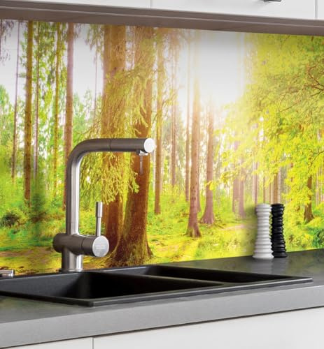 MyMaxxi Küchenrückwand selbstklebend - Matte, versteifte Spritzschutz Folie als günstige Alternative zu Glas, einfache Montage & leichte Reinigung - 60 cm hoch - Motiv: Wald 60 x 60 cm