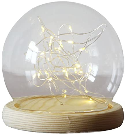 Mini Clear Glass Dome Display Case with Wood Base for Home Ornament 18 cm