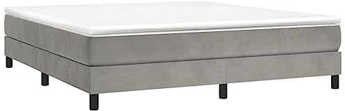 vidaXL Ramsäng ljusgrå 160x200 cm sammet dubbelsäng, säng ram, resårmadrass
