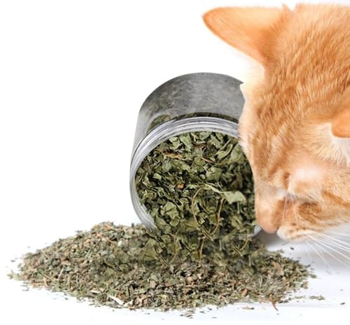 Katzenminze – 40 g entspannende echte natürliche Katzenminze | Unreinheitsfrei beruhigende natürliche Blätter Katzenminze | Natürliche Katzenminze für Magengesundheit und Vorbeugung von Darmblockade